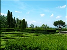 In the parterre
